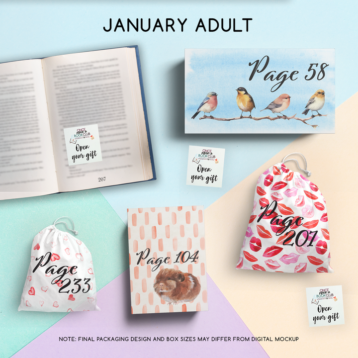 January Adult Book Club mockup with page-numbered gifts and vibrant, themed packaging designs.