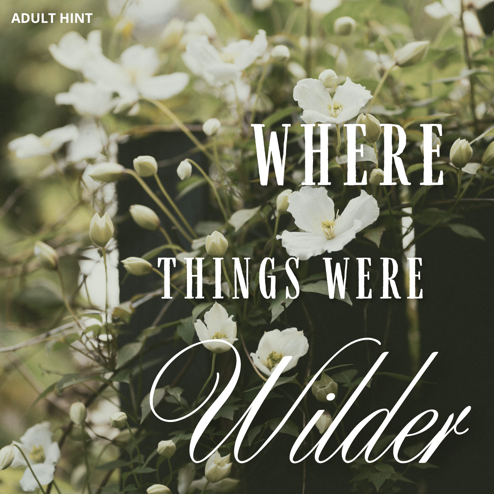 White flowers with text overlay 'Where Things Were Wilder' on a blurred natural background. The words