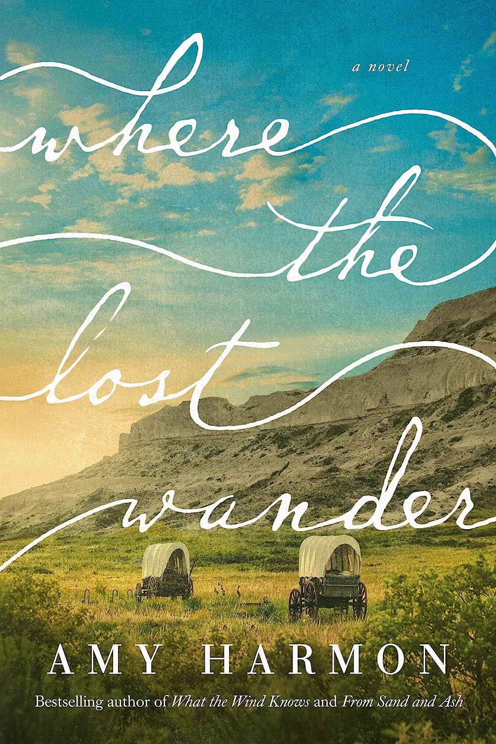 The book cover of