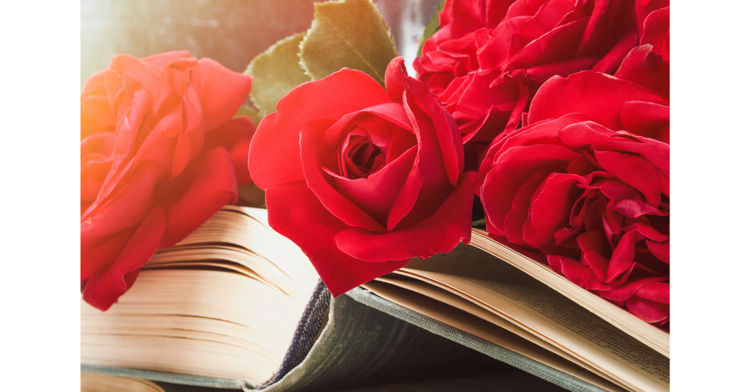 Red roses resting on an open book in warm sunlight, creating a romantic reading-themed scene.