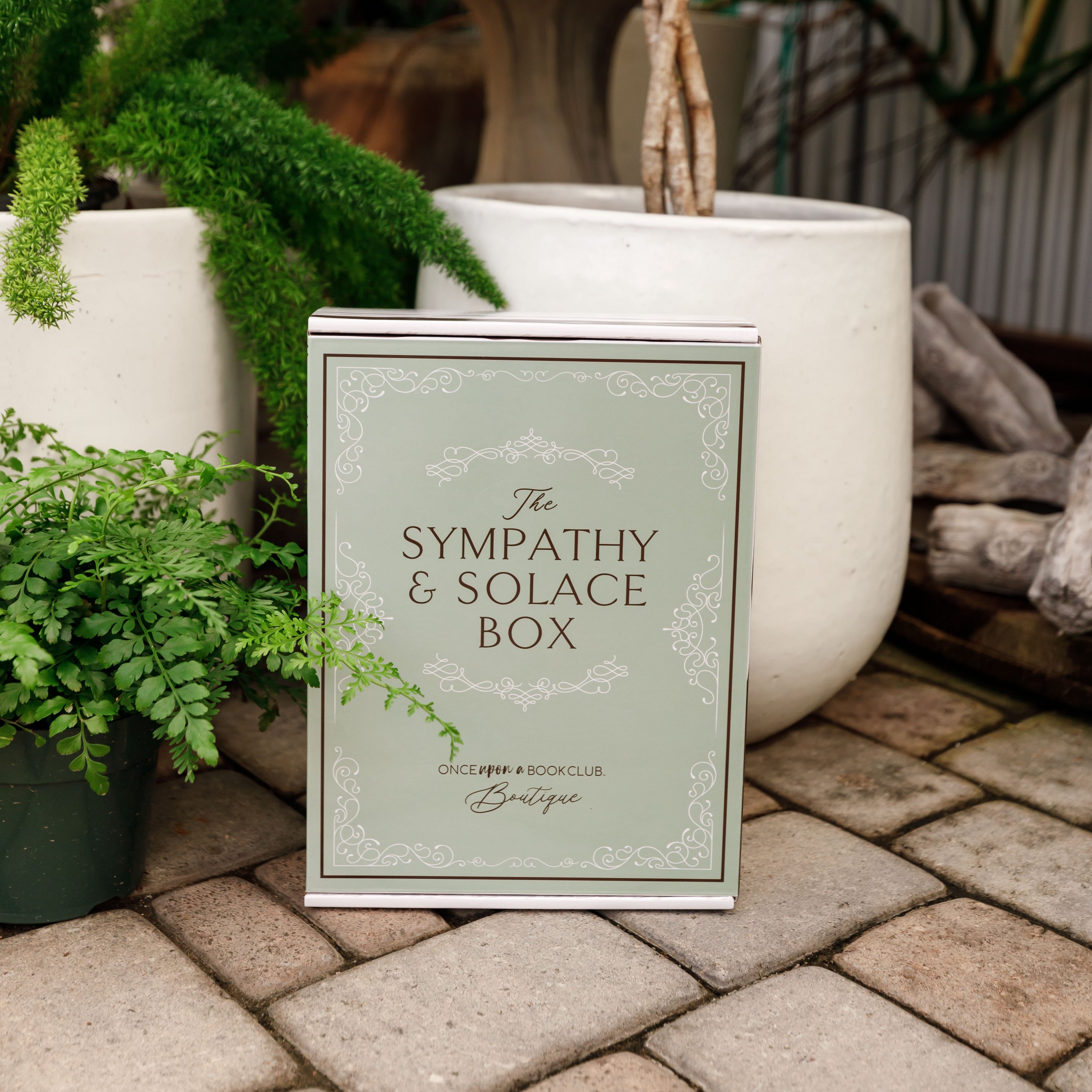 The Sympathy & Solace Book Box | Bookish Gift – Once Upon a Book Club
