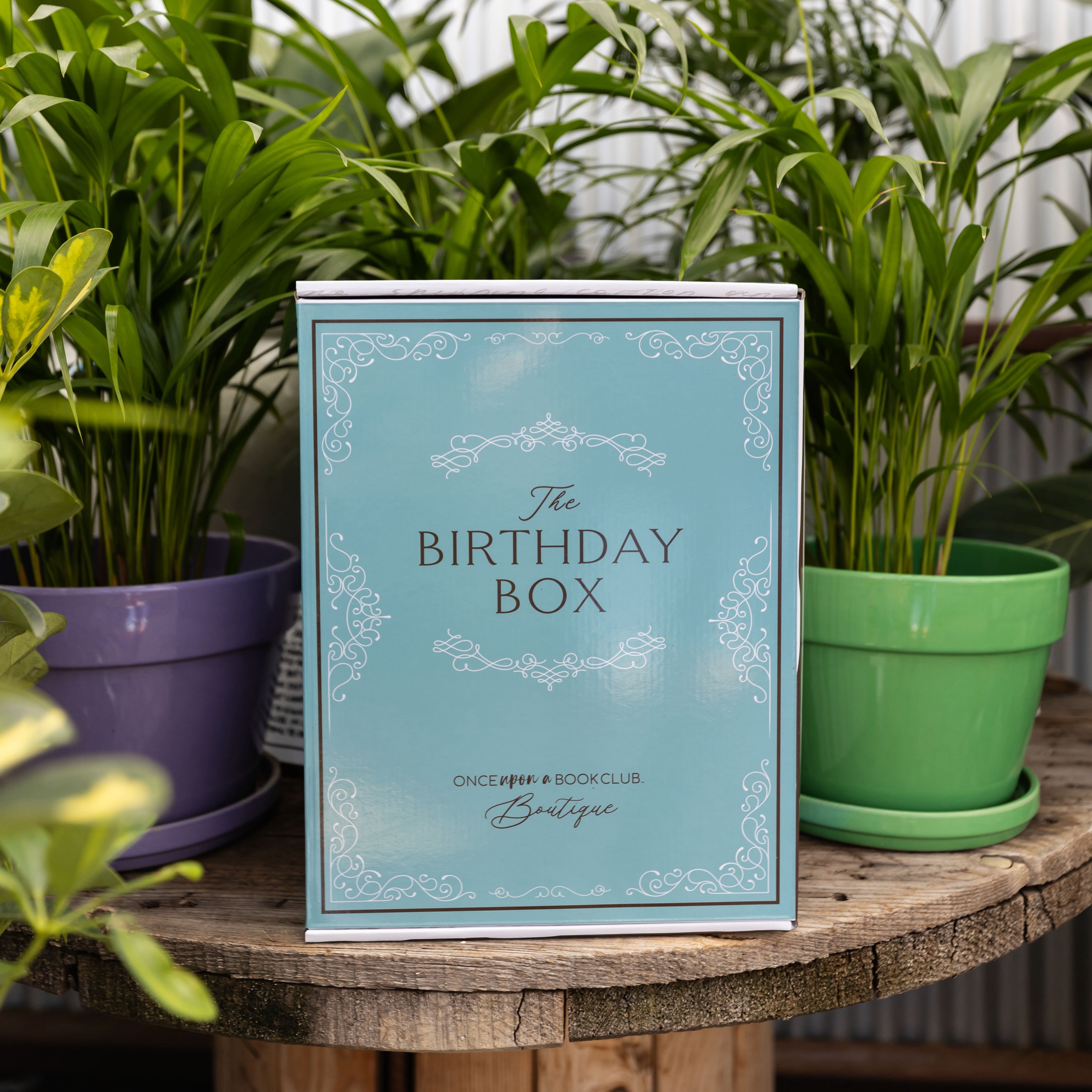 The Birthday Box | Bookish Gift for Readers – Once Upon a Book Club