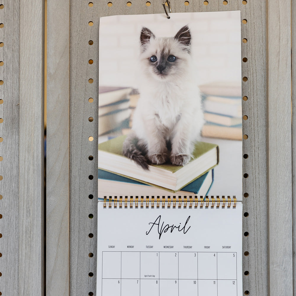 A wall calendar showing a Siamese kitten sitting on a pile of books on the month of April.