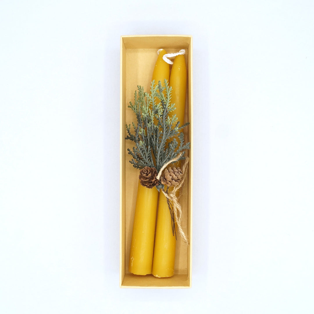 a pair of yellow beeswax taper candles tied together with a sprig of a plant and small pinecone in an open box
