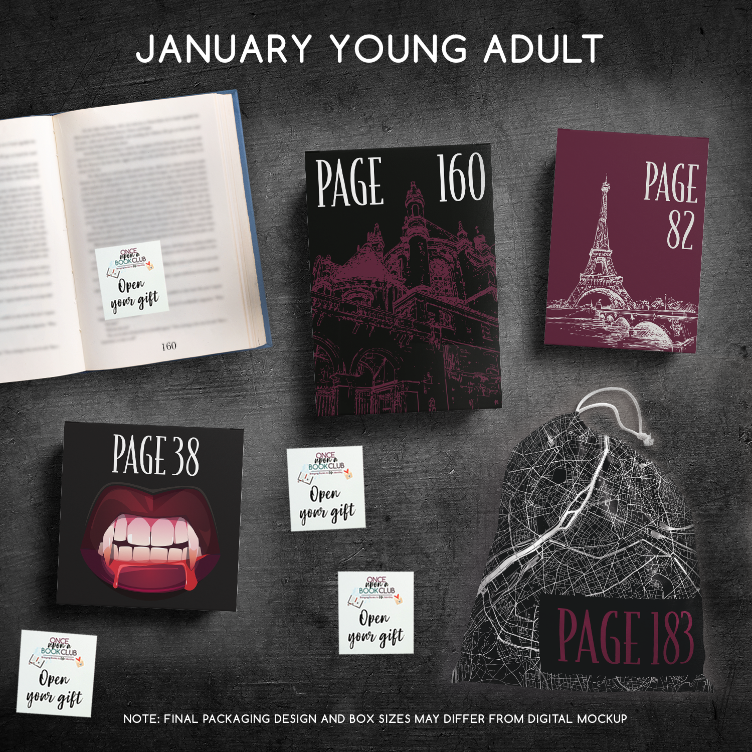 January Young Adult Once Upon a Book Club gifts are designed in aesthetic packaging colors and patterns to match the book cover/theme of the novel. Each gift is labeled with a page number, signifying when the gift is described within the story.