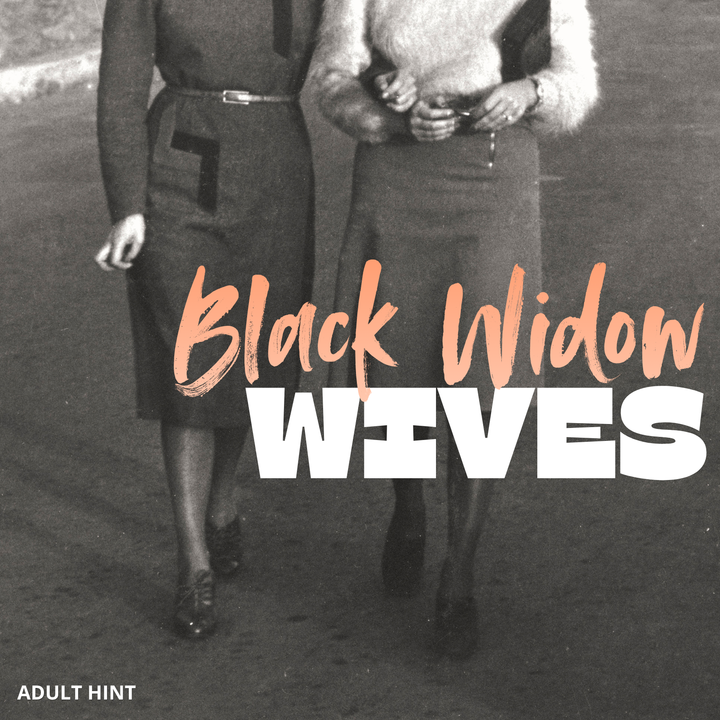 November Adult Hint image featuring a vintage-style black and white photograph shows two women walking side by side, with large overlaid text reading Black Widow Wives.