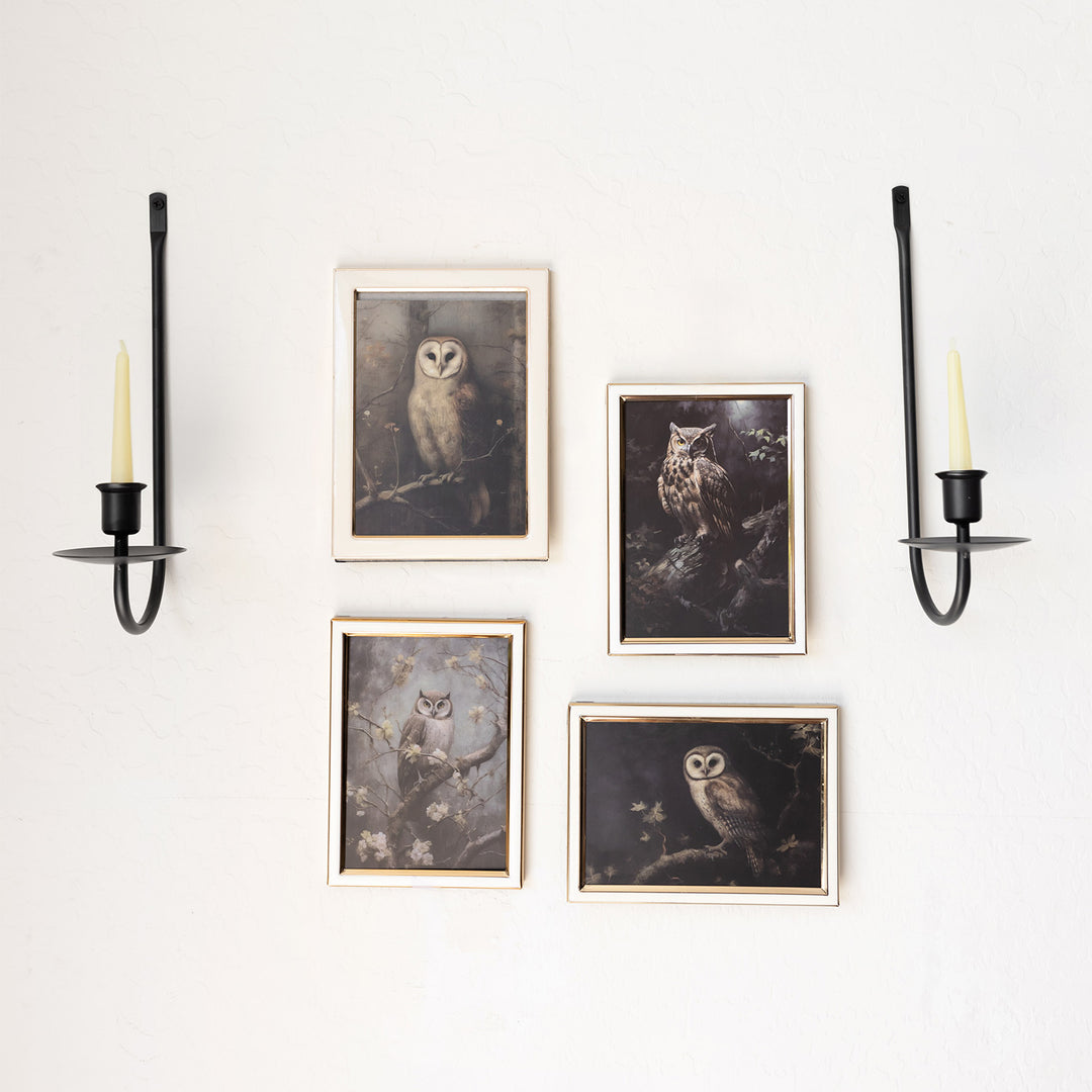 Two black wall scones holding white candles. In between the scones are four portraits of owls in white frames.