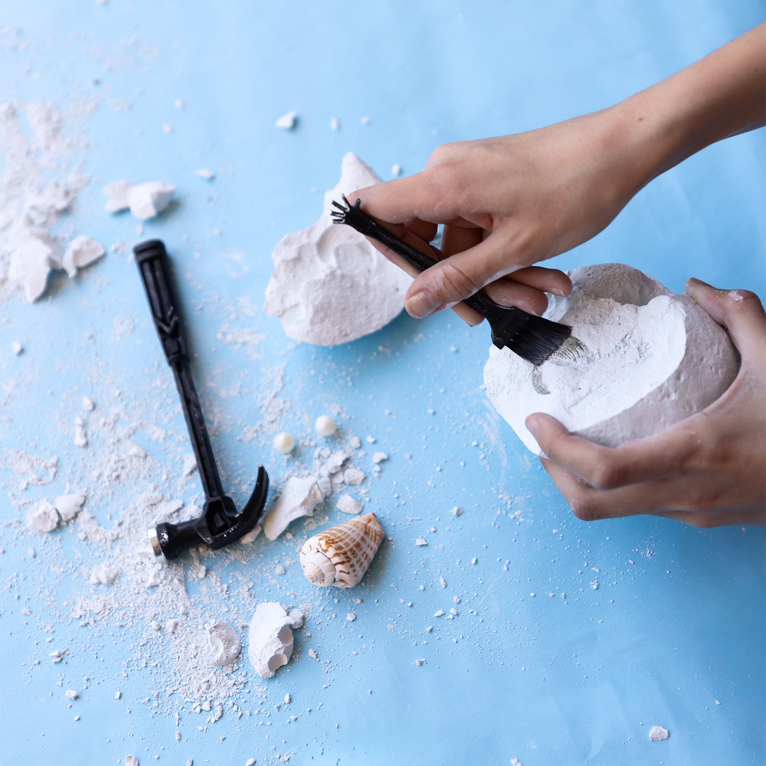 Ocean's Promise Box: Joy & Seashell Excavation Kit 🌊 – Once Upon a Book ...