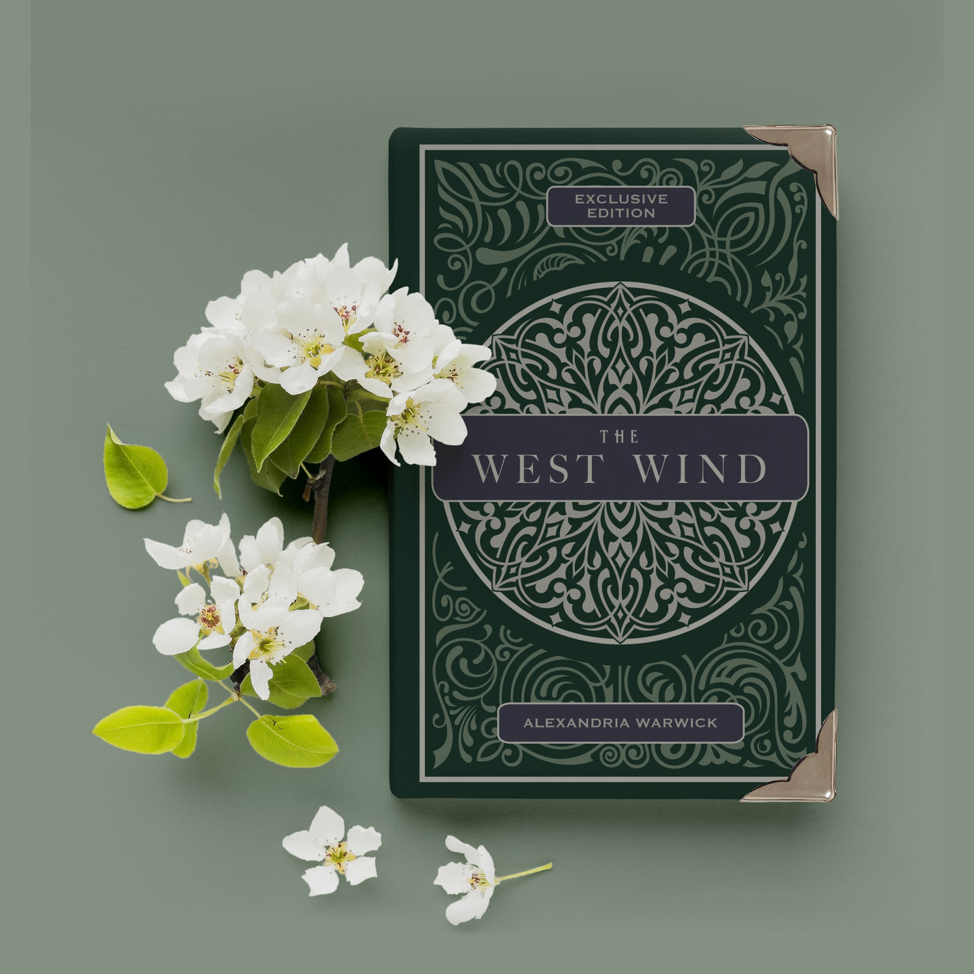 The West Wind - BOOK ONLY