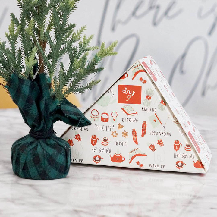 A white triangle-shaped box labeled Day 9 sits on a table next to a plant